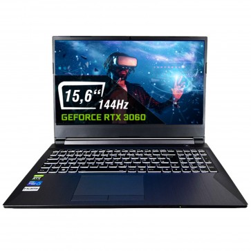 dcl24.de Gaming Notebook mit Intel Core i7-10750H, RTX3060 [13952]