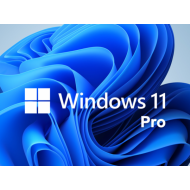 Microsoft Windows 11 Pro, 64-Bit DSP/SB (PC, Deutsch)