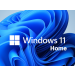 Microsoft Windows 11 Home, 64-Bit DSP/SB (PC, Deutsch)